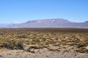 El Parque Nacional Patagonia según los turistas que lo visitan