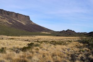 El Parque Nacional Patagonia según los turistas que lo visitan