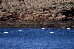 El Parque Nacional Patagonia según los turistas que lo visitan