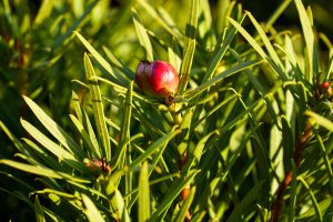 El Parque Nacional Patagonia según los turistas que lo visitan