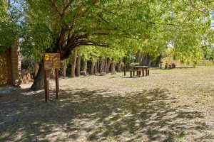 La otra cara del Parque Nacional Patagonia: así es la experiencia del voluntariado