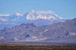 La otra cara del Parque Nacional Patagonia: así es la experiencia del voluntariado