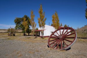 La otra cara del Parque Nacional Patagonia: así es la experiencia del voluntariado