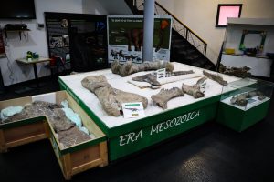 El Museo Regional Padre Manuel Jesús Molina cumple 66 años