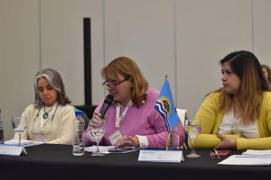 Santa Cruz presente en el Consejo Federal de Discapacidad