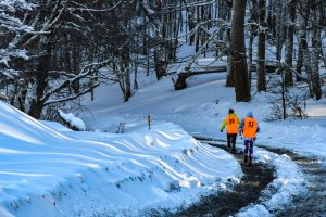 El turismo en Santa Cruz crece y se potencia con las nuevas tecnologías