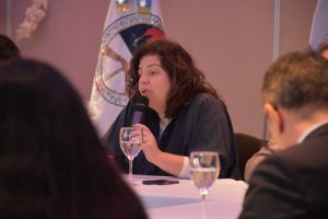 Santa Cruz realizó el Consejo Regional de Salud de la Patagonia