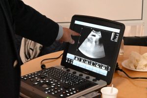 Salud brinda un curso de formación en ecografía a profesionales de Santa Cruz