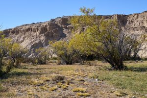 PreViaje 5: todavía estás a tiempo de ser parte de la quinta edición y elegir a Santa Cruz como destino
