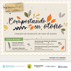 Presentan Campaña para la recolección de hojas de árboles