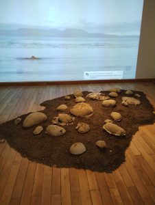 MAEM inaugurará mañana una muestra interdisciplinaria de la BIENALSUR 2023