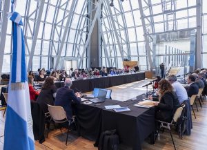 Santa Cruz participó de una nueva reunión ordinaria del COFESA en Buenos Aires