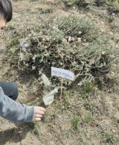 Educación promueve programa de estudios sobre la flora autóctona