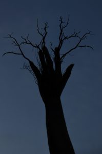 Nómina de ganadoras y ganadores del 7° Concurso Fotográfico Ambiental “Mensaje para el Ambiente”