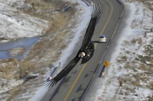 Nómina de ganadoras y ganadores del 7° Concurso Fotográfico Ambiental “Mensaje para el Ambiente”
