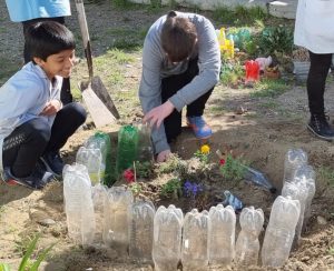 Avanzan con el desarrollo del Proyecto “Espacios Verdes para decorar mi Escuela”
