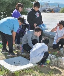 Avanzan con el desarrollo del Proyecto “Espacios Verdes para decorar mi Escuela”