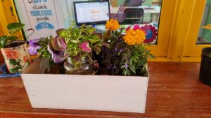 Avanzan con el desarrollo del Proyecto “Espacios Verdes para decorar mi Escuela”