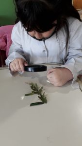 Avanzan con el desarrollo del Proyecto “Espacios Verdes para decorar mi Escuela”