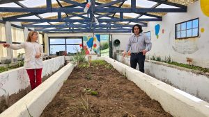 Las escuelas rurales recibieron pollitos bebés para el Taller de Granja
