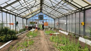 Las escuelas rurales recibieron pollitos bebés para el Taller de Granja
