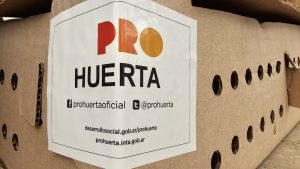 Las escuelas rurales recibieron pollitos bebés para el Taller de Granja