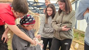 Las escuelas rurales recibieron pollitos bebés para el Taller de Granja