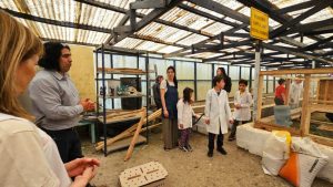 Las escuelas rurales recibieron pollitos bebés para el Taller de Granja