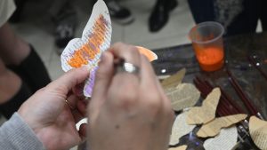 Bitácora - Jardín de Mariposas: La historia de una, la vida de todas