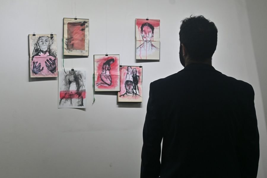 Bitácora - Jardín de Mariposas: La historia de una, la vida de todas