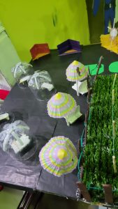 Se realizó la Expo de  Emprendedorismo en la EPJA Secundaria N°15 de Puerto San Julián