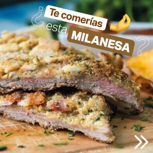 El Gobierno Provincial continua potenciando la industria de la carne de guanaco