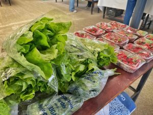 Autoridades provinciales visitaron  la Asociación de Productores Familiares