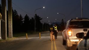 Seguridad desplegó importantes operativos preventivos en la Fiesta Nacional de la Cereza