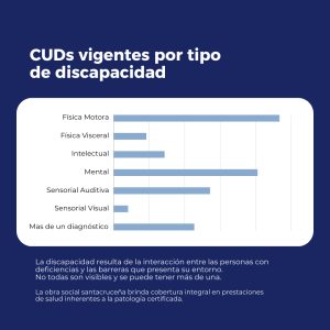 Discapacidad: la más común es la motriz y la mayoría de los CUD son de personas de más de 70 años