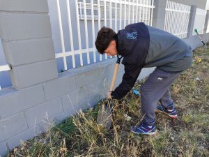 Cada día son más los que colaboran en los trabajos que se realizan en las escuelas de Santa Cruz
