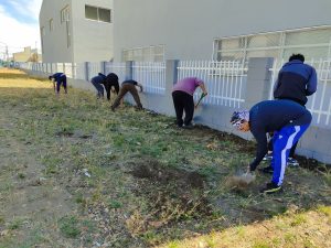 Cada día son más los que colaboran en los trabajos que se realizan en las escuelas de Santa Cruz