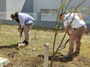 Cada día son más los que colaboran en los trabajos que se realizan en las escuelas de Santa Cruz
