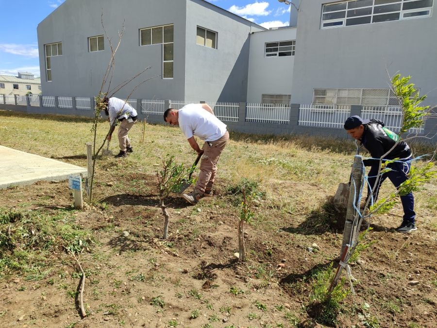 Cada día son más los que colaboran en los trabajos que se realizan en las escuelas de Santa Cruz