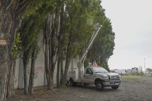 Operativo Escuelas: El Ejército se sumó a las tareas de mantenimiento en el Colegio Guatemala