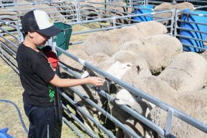 Martínez: “Santa Cruz tiene muchos recursos que todavía no han sido puestos en valor”