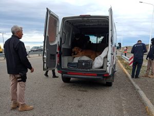 Operativo conjunto: Seguridad secuestró droga y Producción multó a veinte vehículos