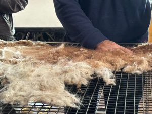 Con una mirada integral, Producción gestiona acciones para consolidar el aprovechamiento de los recursos santacruceños