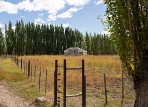 Vidal en Gregores: Recorrió la Escuela Agropecuaria N°1 y redobló su apuesta por la producción