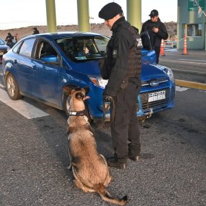 Nuevo operativo de Seguridad en el ingreso a Río Gallegos: se registraron 657 automóviles