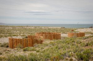 Histórico: Santa Cruz aprobó la creación del Parque Marino Monte León