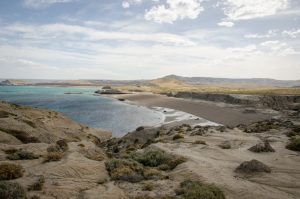 Histórico: Santa Cruz aprobó la creación del Parque Marino Monte León