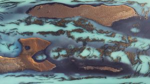 Histórico: Santa Cruz aprobó la creación del Parque Marino Monte León