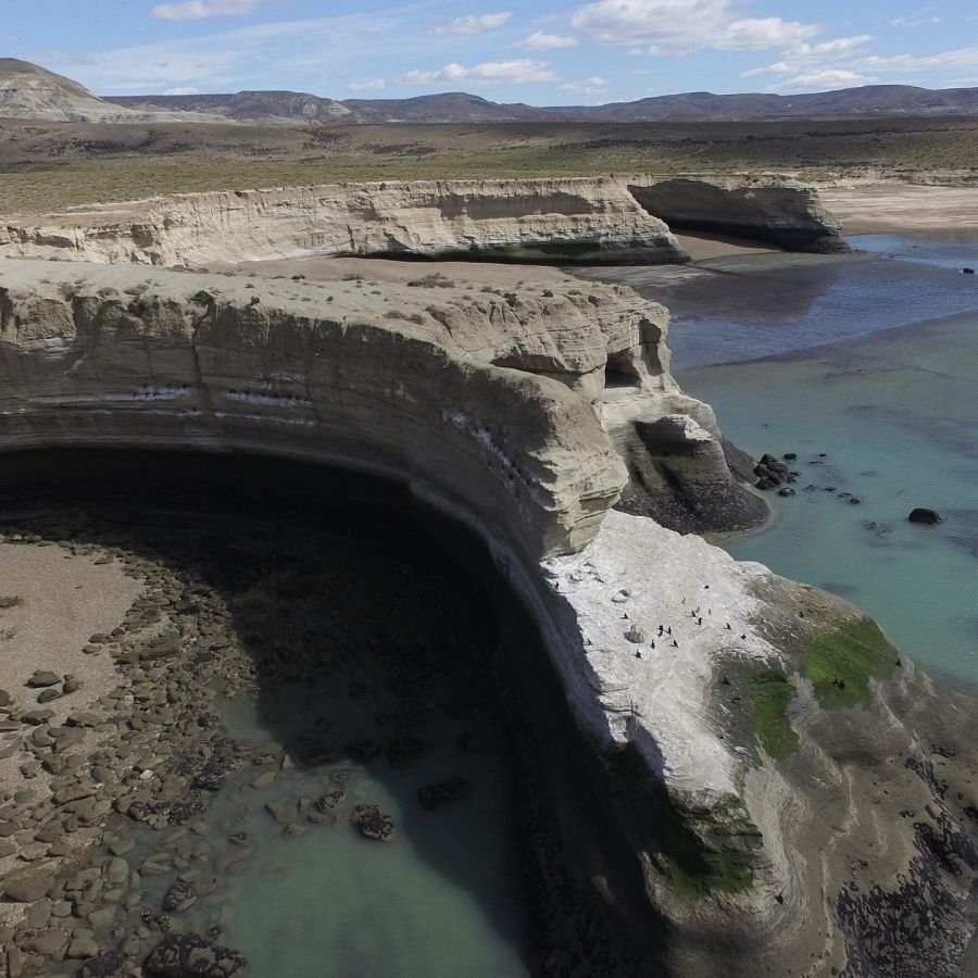Histórico: Santa Cruz aprobó la creación del Parque Marino Monte León