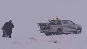 Intensos trabajos de Vialidad provincial en las rutas de Santa Cruz